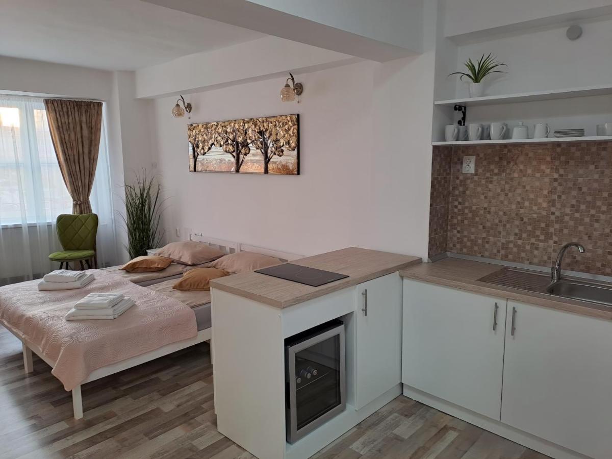 7 Level Central Apartments Miercurea Ciuc Eksteriør bilde